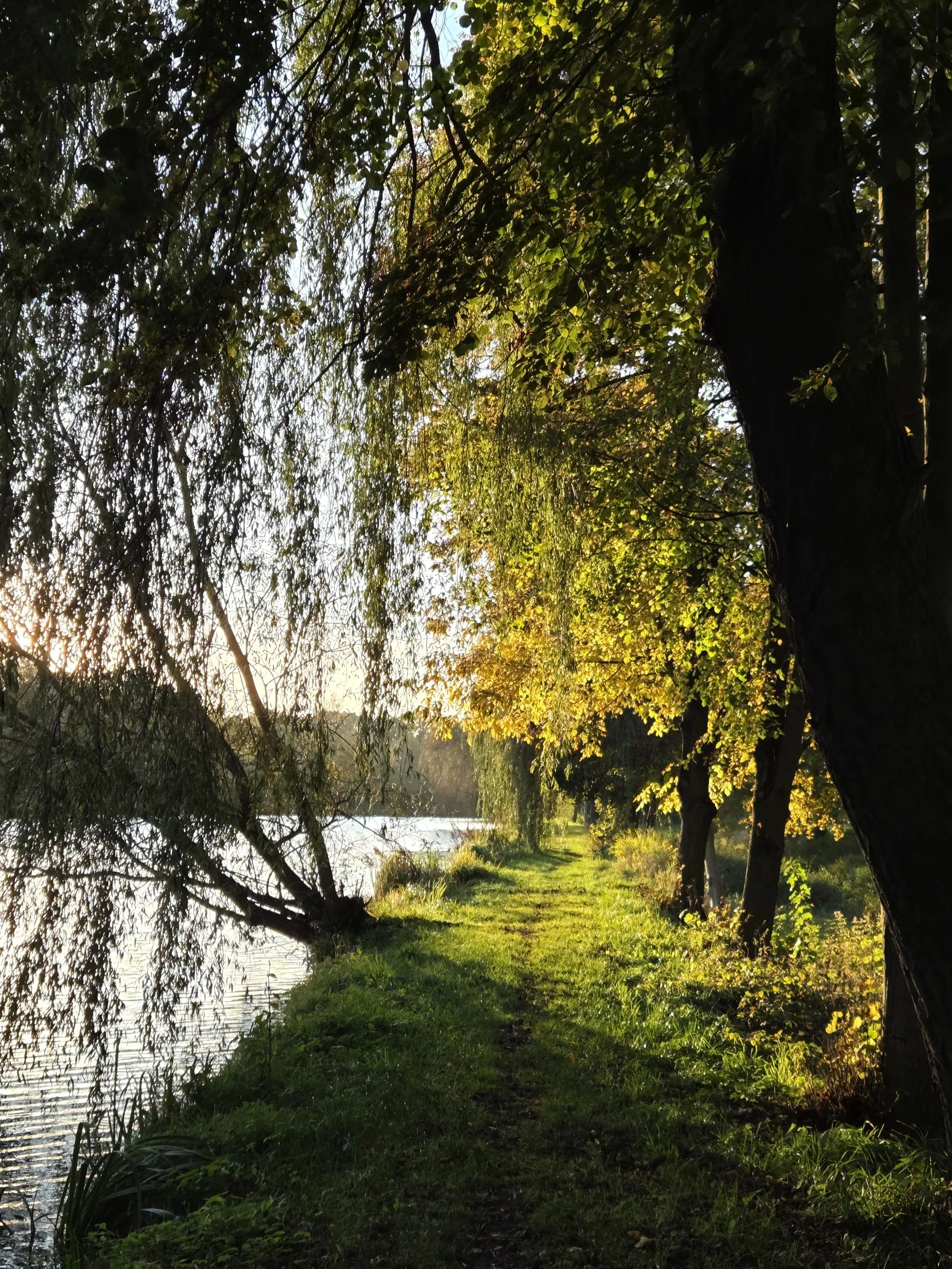 Ścieżka nad jeziorem